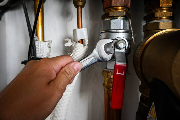 Best Shower Repair Services  in Barton, NM